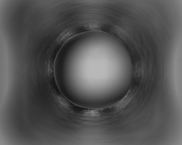 X0000088490140200705221435