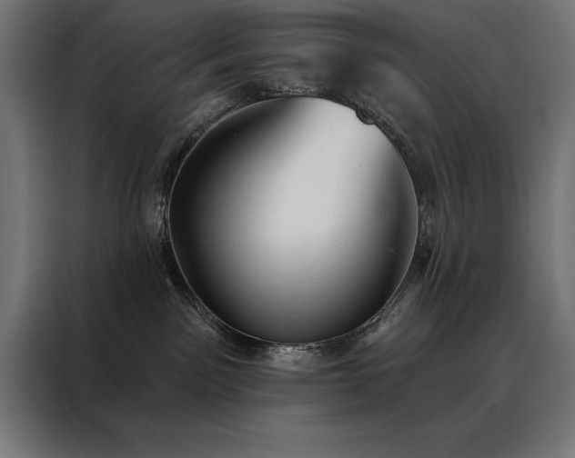X0000088490141200705221435