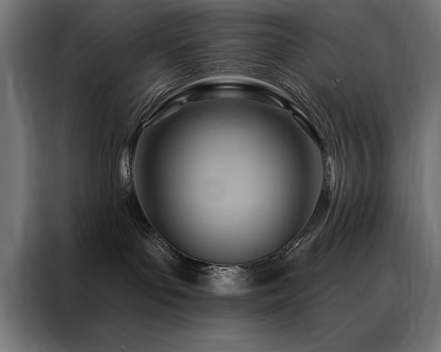 X0000088490143200705221435