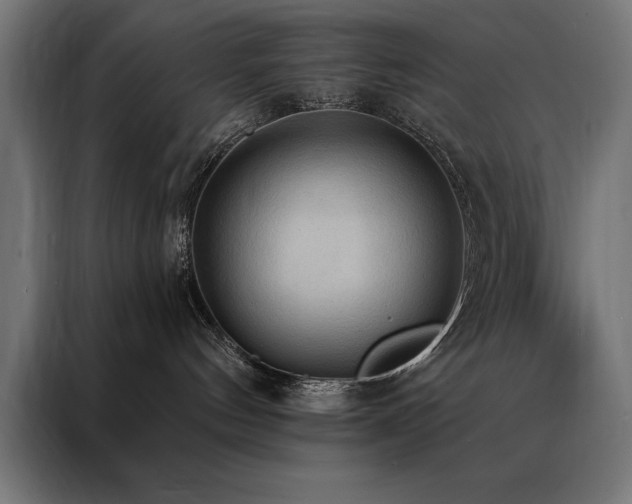 X0000088490144200705221435