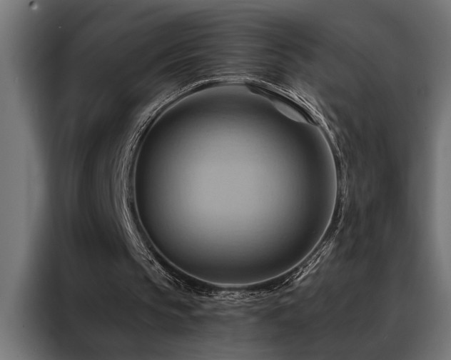 X0000088490145200705221434