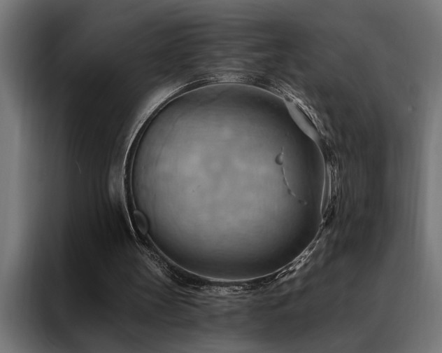 X0000088490147200705221434
