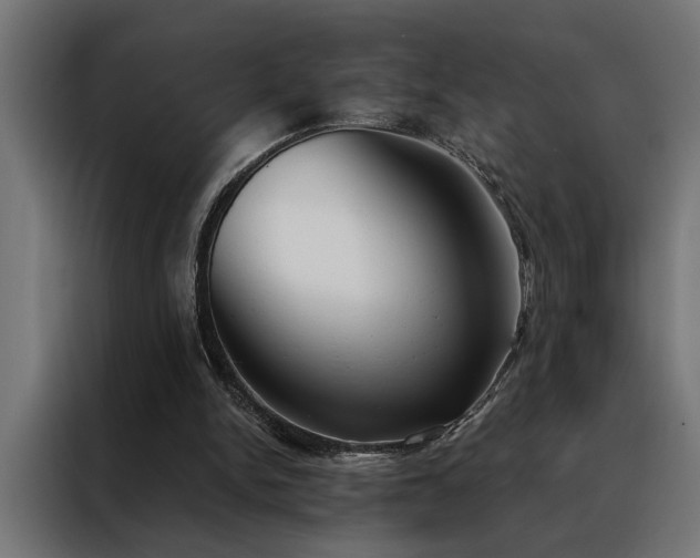X0000088490150200705221434