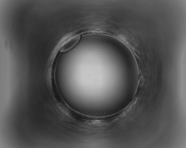 X0000088490151200705221434