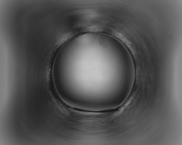 X0000088490153200705221434