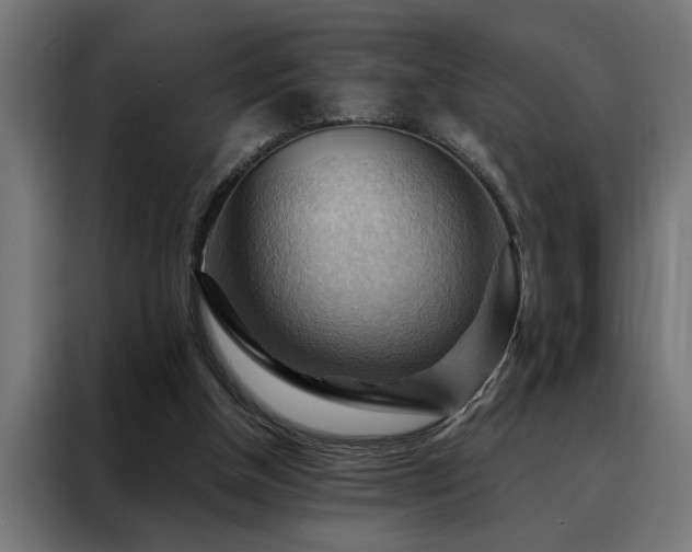 X0000088490154200705221434