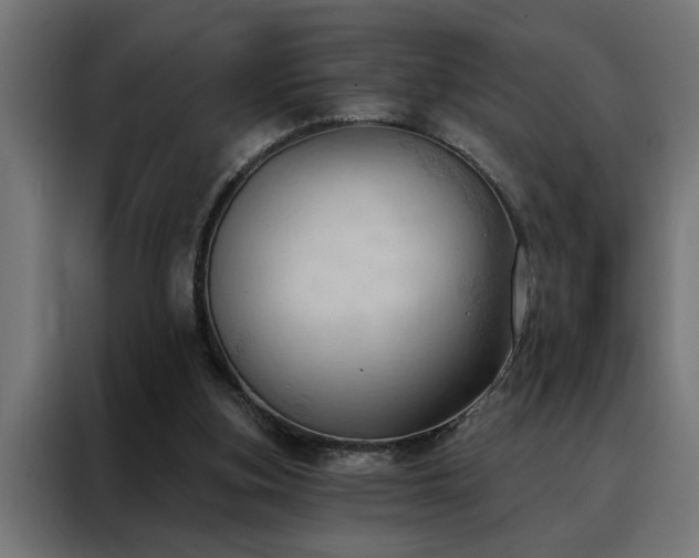 X0000088490155200705221434