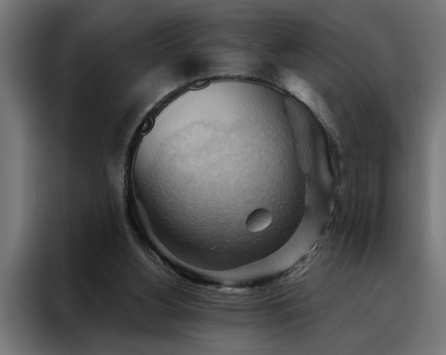 X0000088490156200705221434