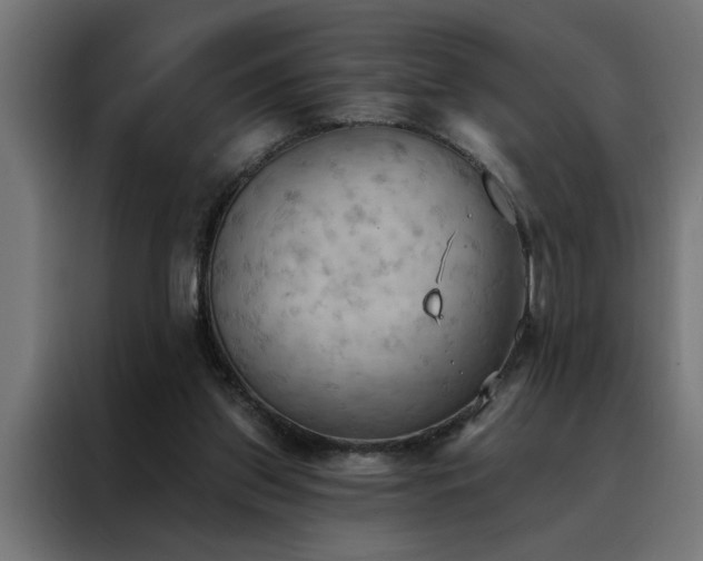 X0000088490157200705221434
