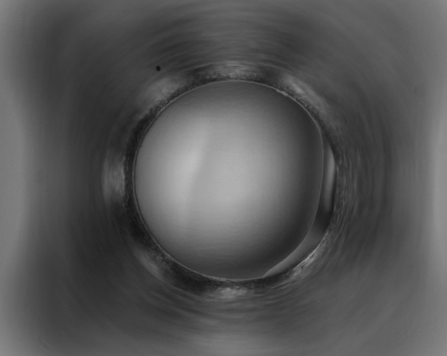 X0000088490158200705221434