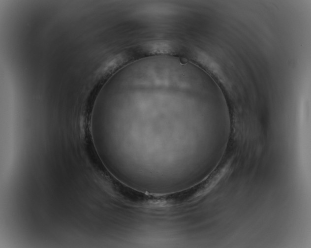 X0000088490161200705221434