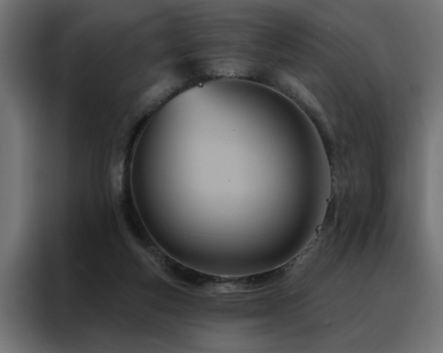 X0000088490163200705221434