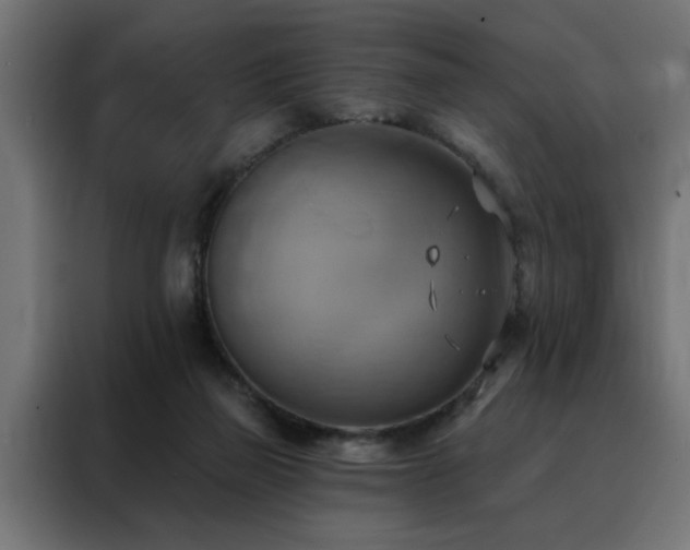 X0000088490165200705221434