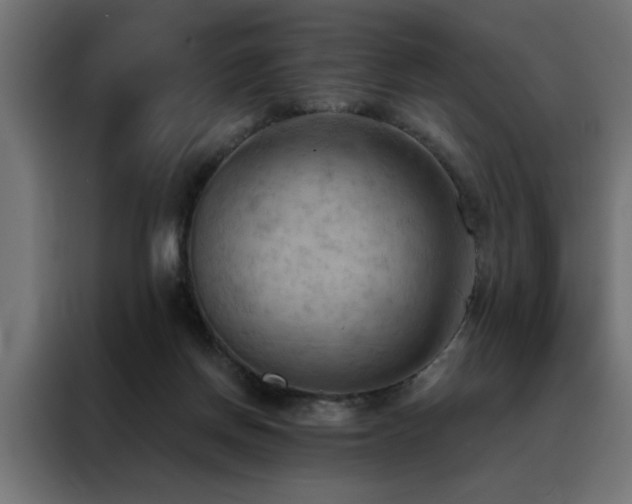 X0000088490166200705221434