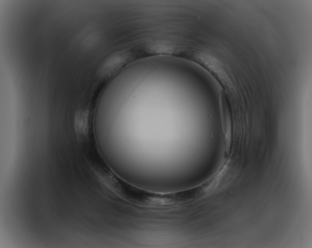 X0000088490167200705221434