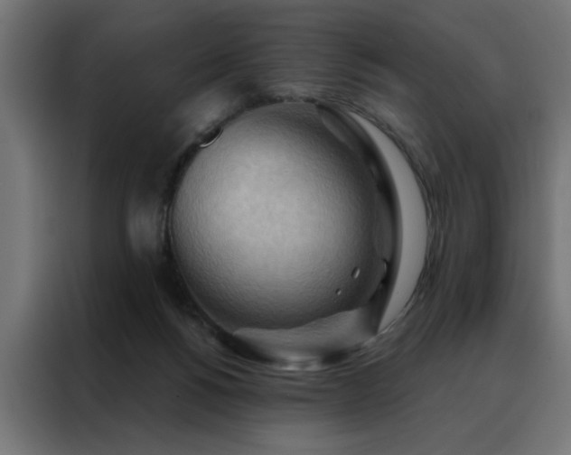 X0000088490168200705221434