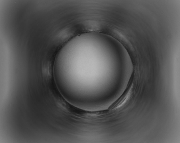 X0000088490170200705221434