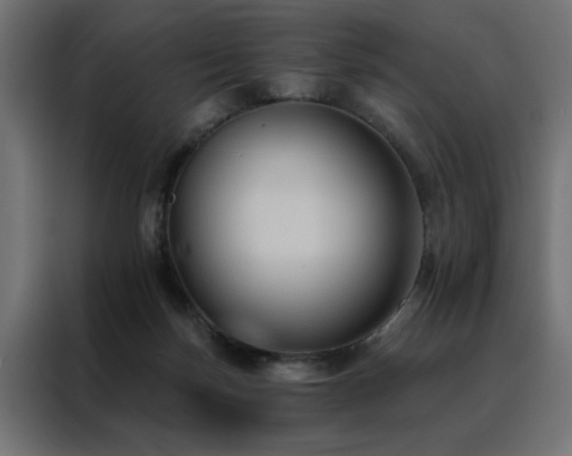 X0000088490171200705221434