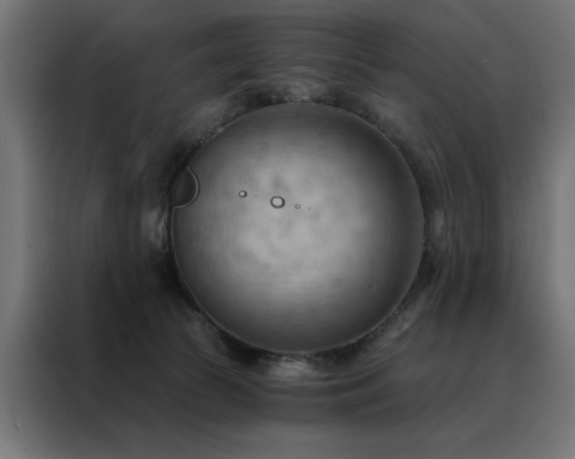 X0000088490177200705221434