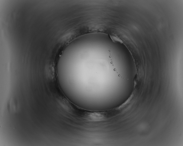 X0000088490183200705221434
