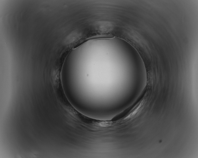 X0000088490184200705221434