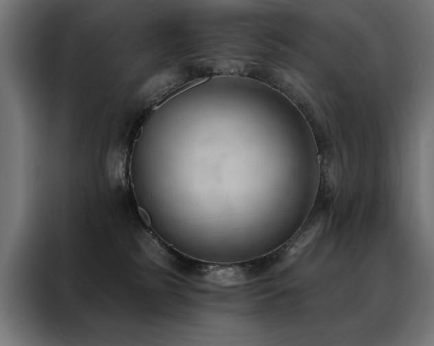X0000088490185200705221434