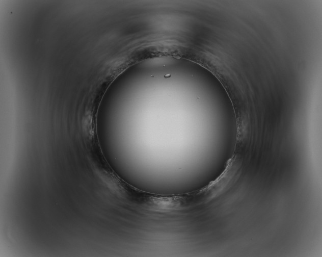 X0000088490187200705221435