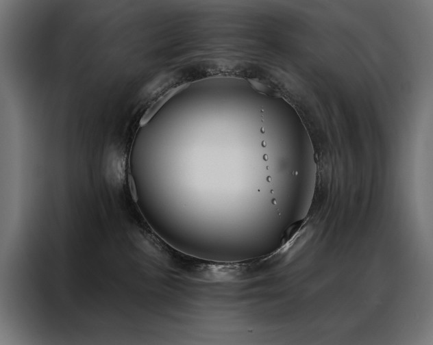 X0000088490188200705221435