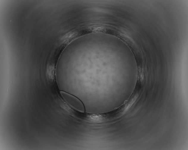 X0000088490189200705221435