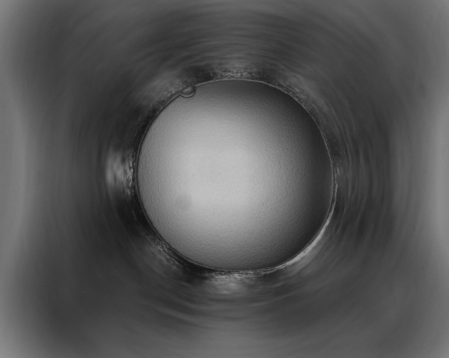 X0000088490190200705221435