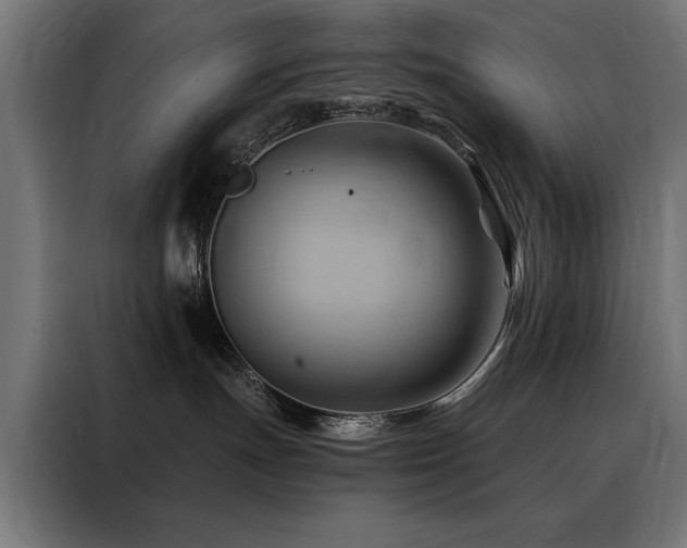 X0000088490191200705221435