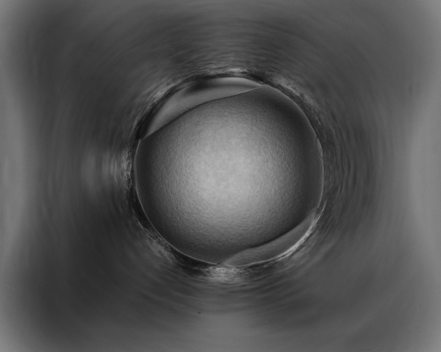 X0000088490192200705221435