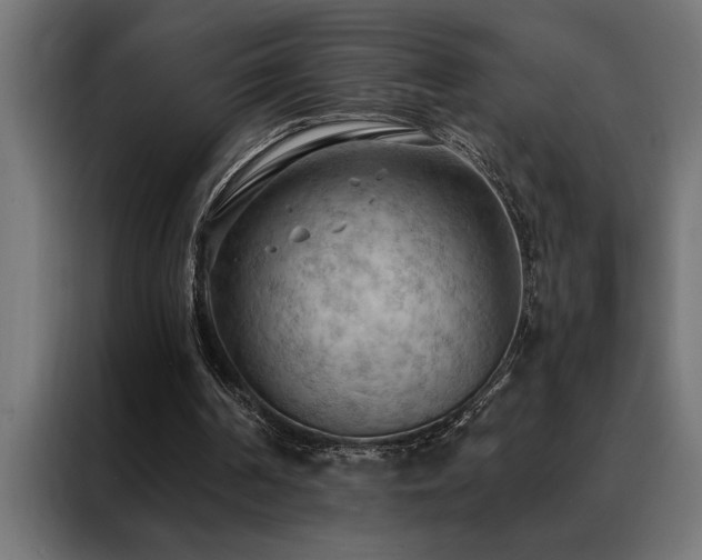 X0000088490194200705221434