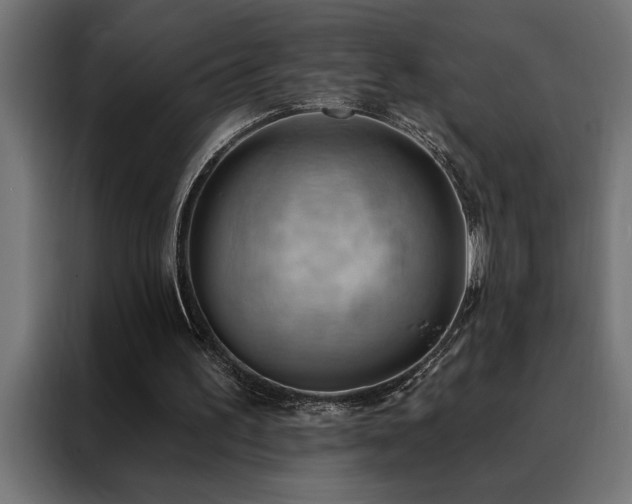X0000088490195200705221434
