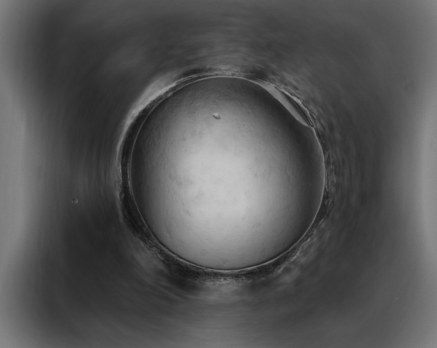 X0000088490198200705221434