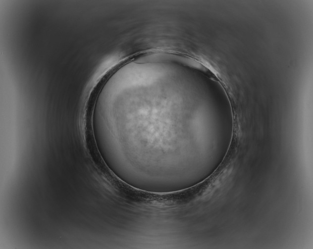 X0000088490199200705221434