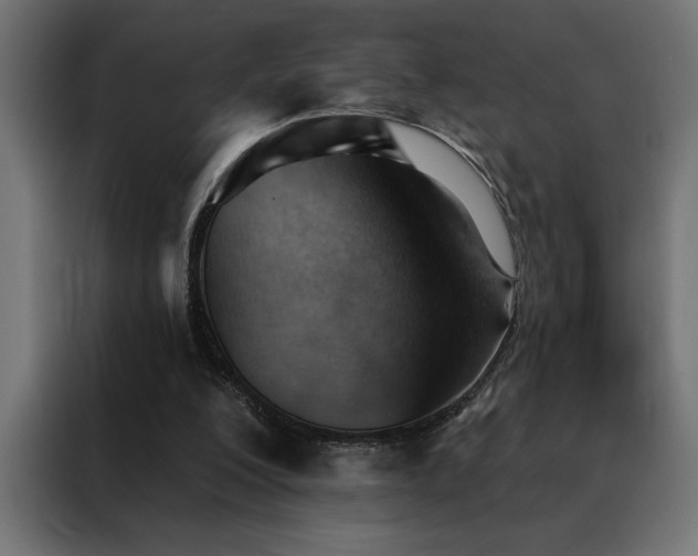X0000088490200200705221434