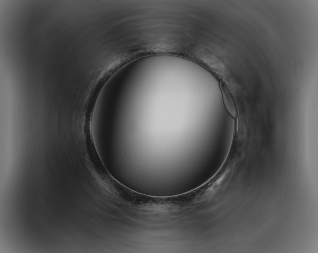 X0000088490201200705221434