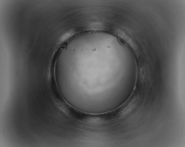 X0000088490203200705221434