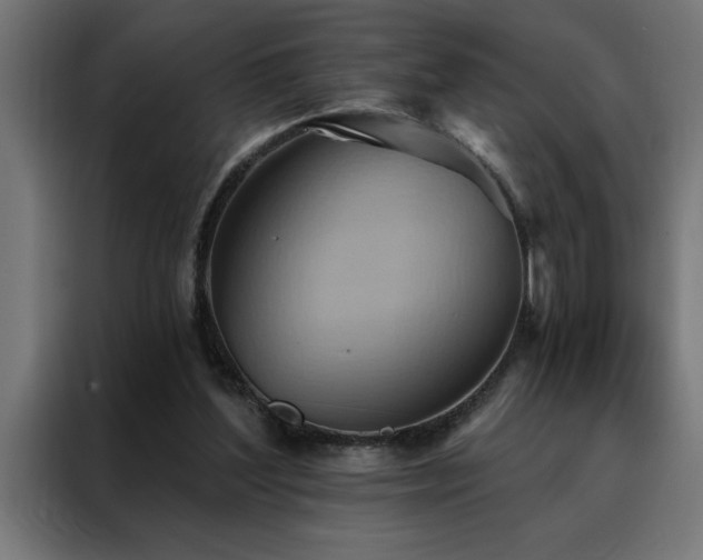 X0000088490204200705221434