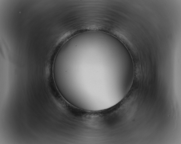 X0000088490208200705221434