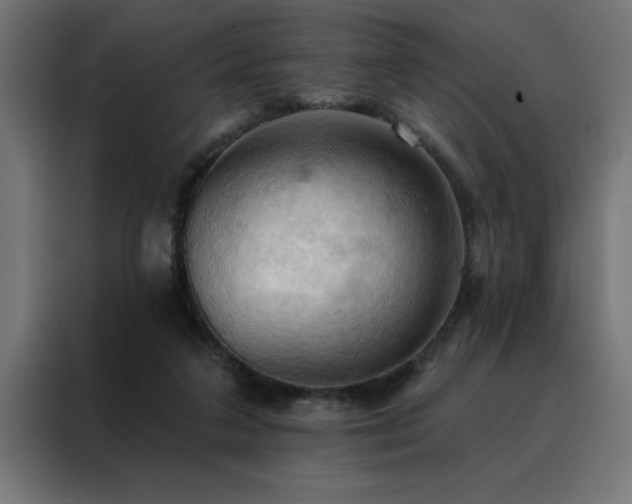 X0000088490211200705221434