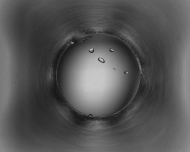 X0000088490212200705221434