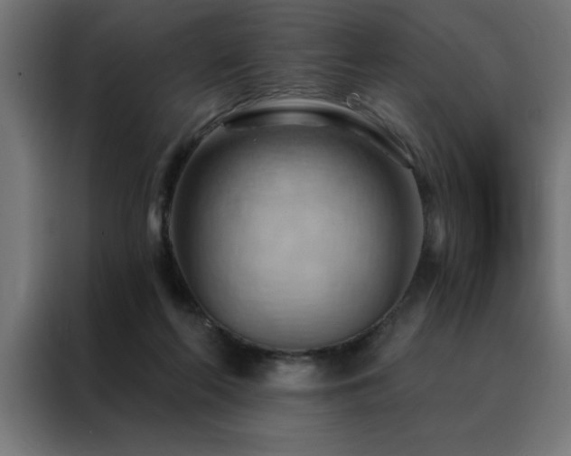 X0000088490214200705221434