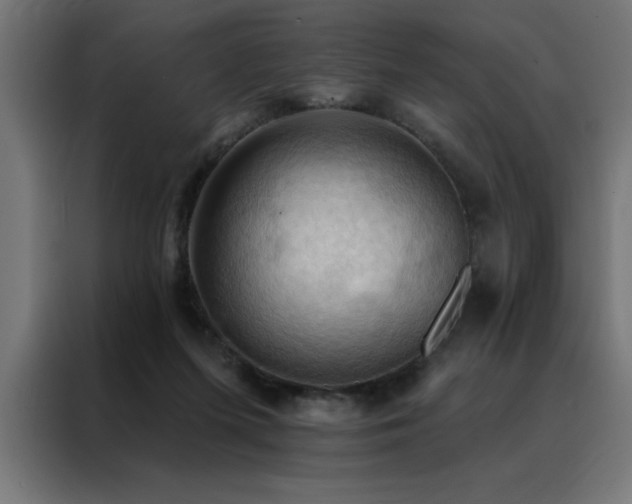 X0000088490215200705221434