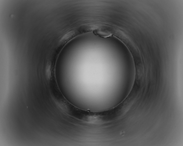 X0000088490216200705221434