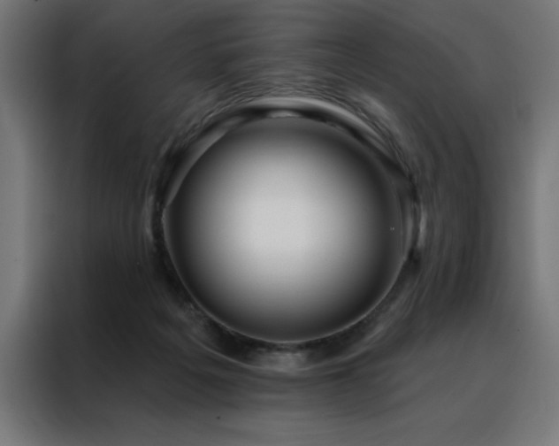 X0000088490217200705221434