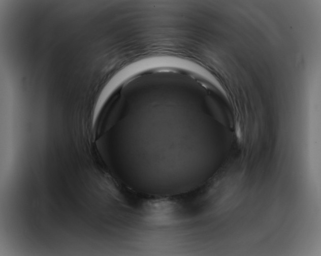 X0000088490219200705221434