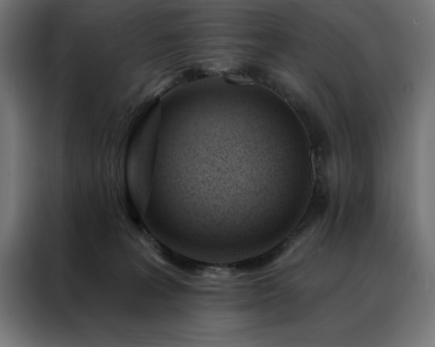 X0000088490227200705221434
