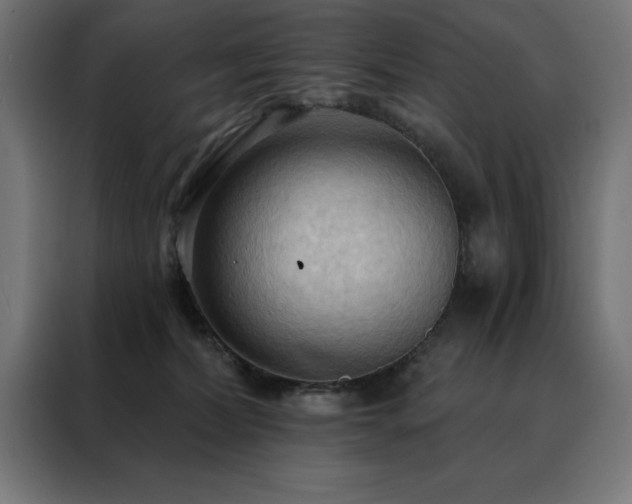 X0000088490228200705221433